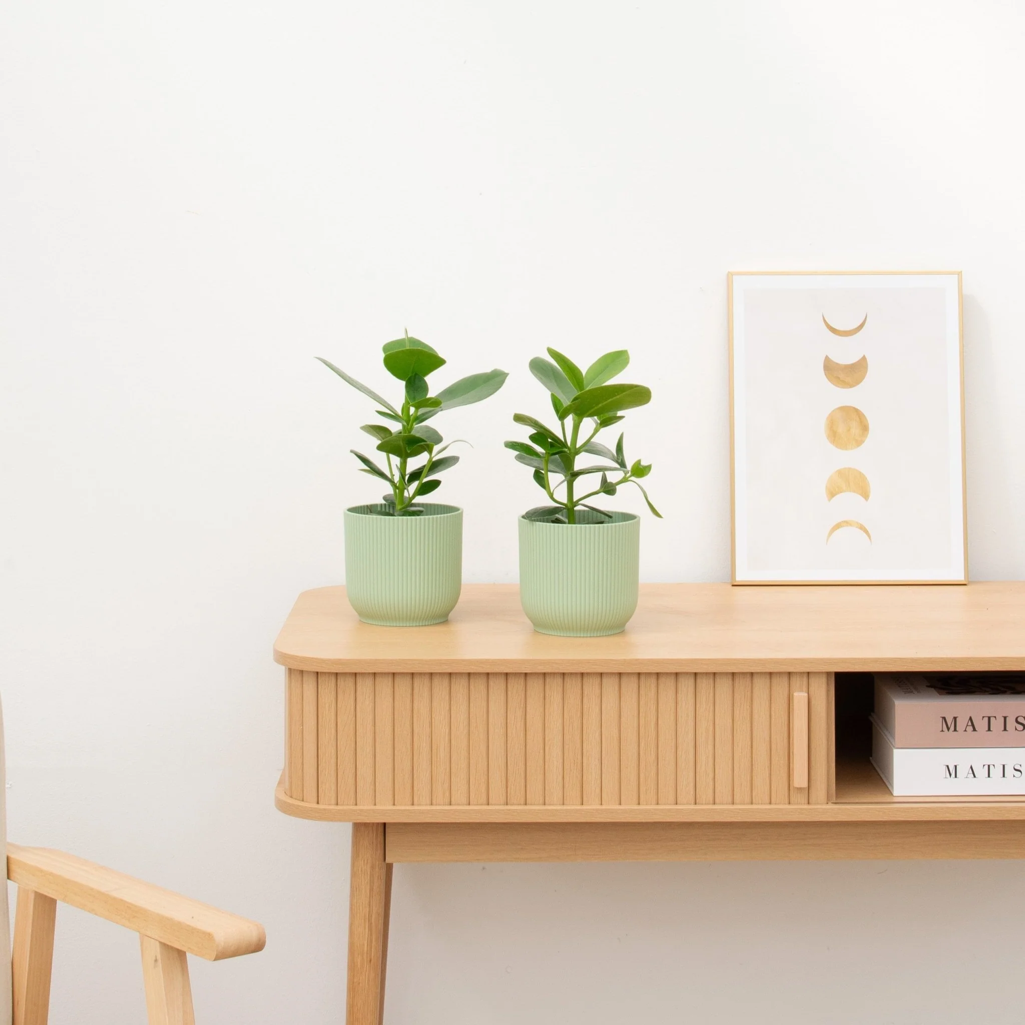 Miniatuur 1