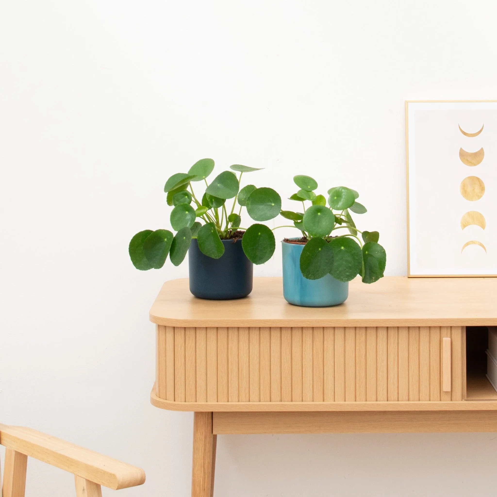 Miniatuur 1
