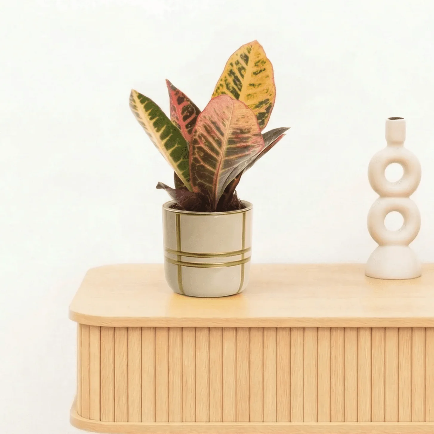 Miniatuur 1