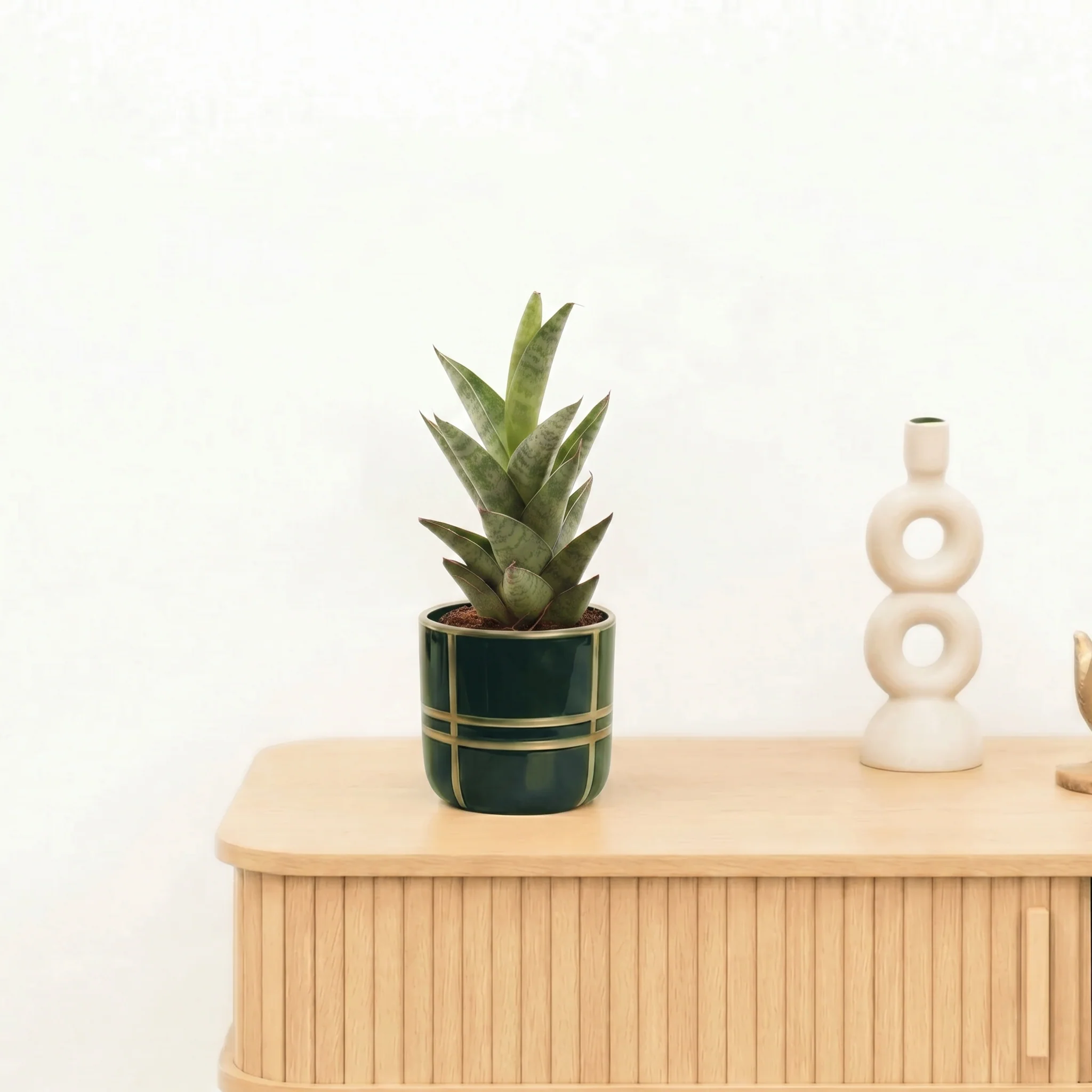 Miniatuur 1