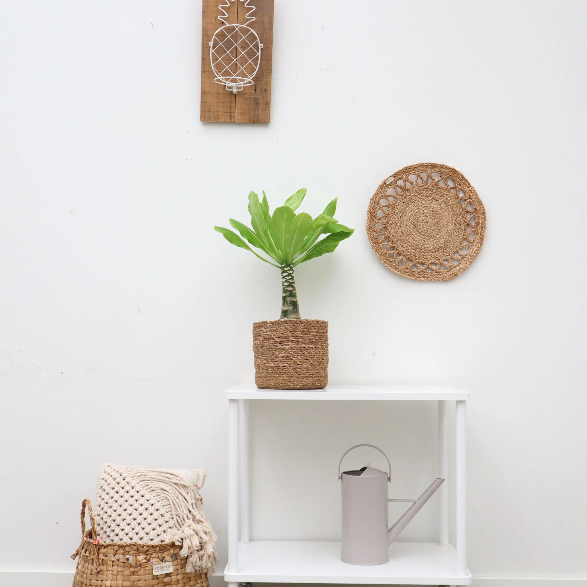 Miniatuur 1