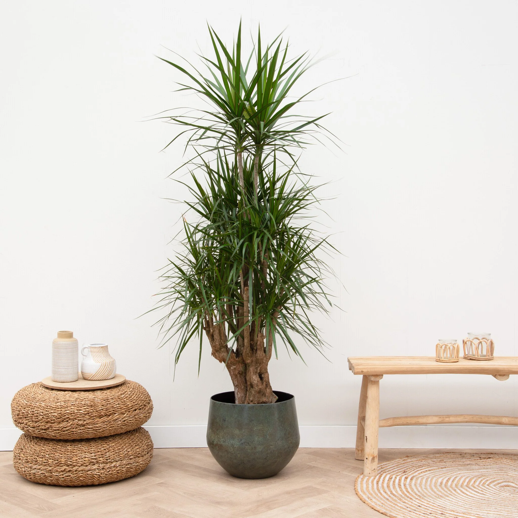 Miniatuur 1