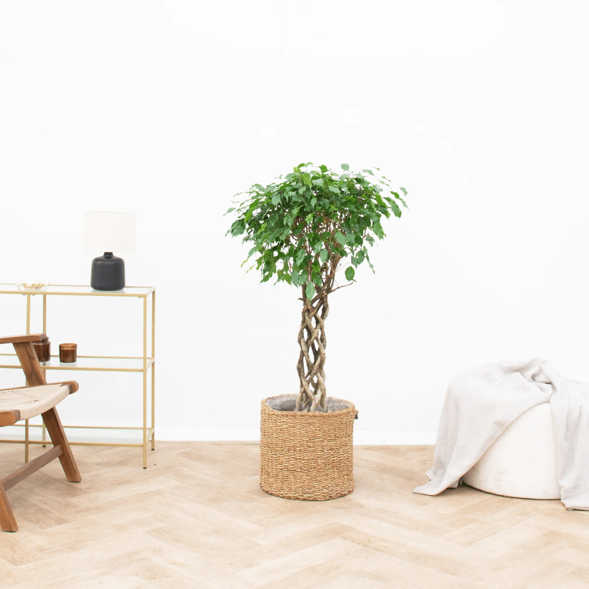 Miniatuur 1
