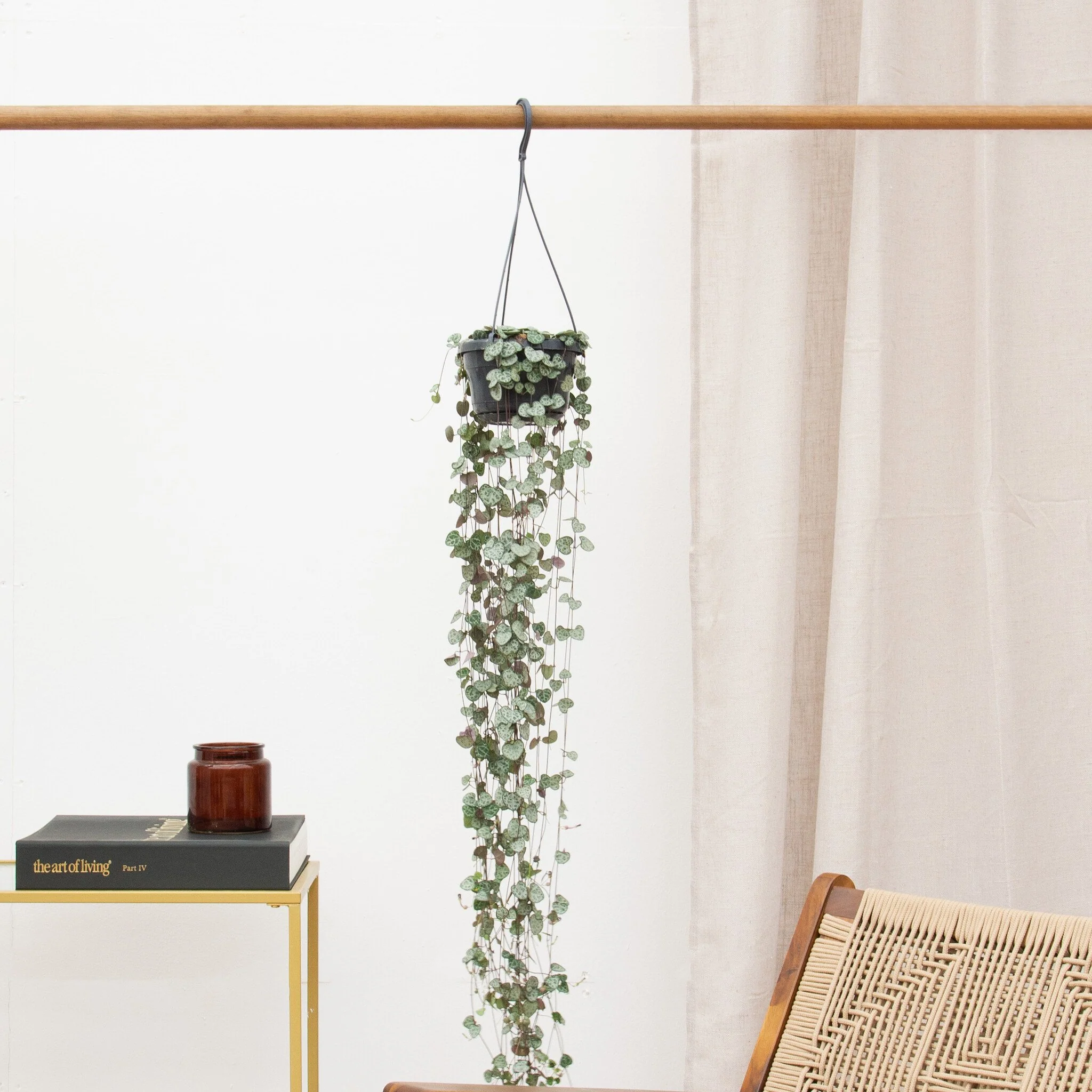 Badkamer planten