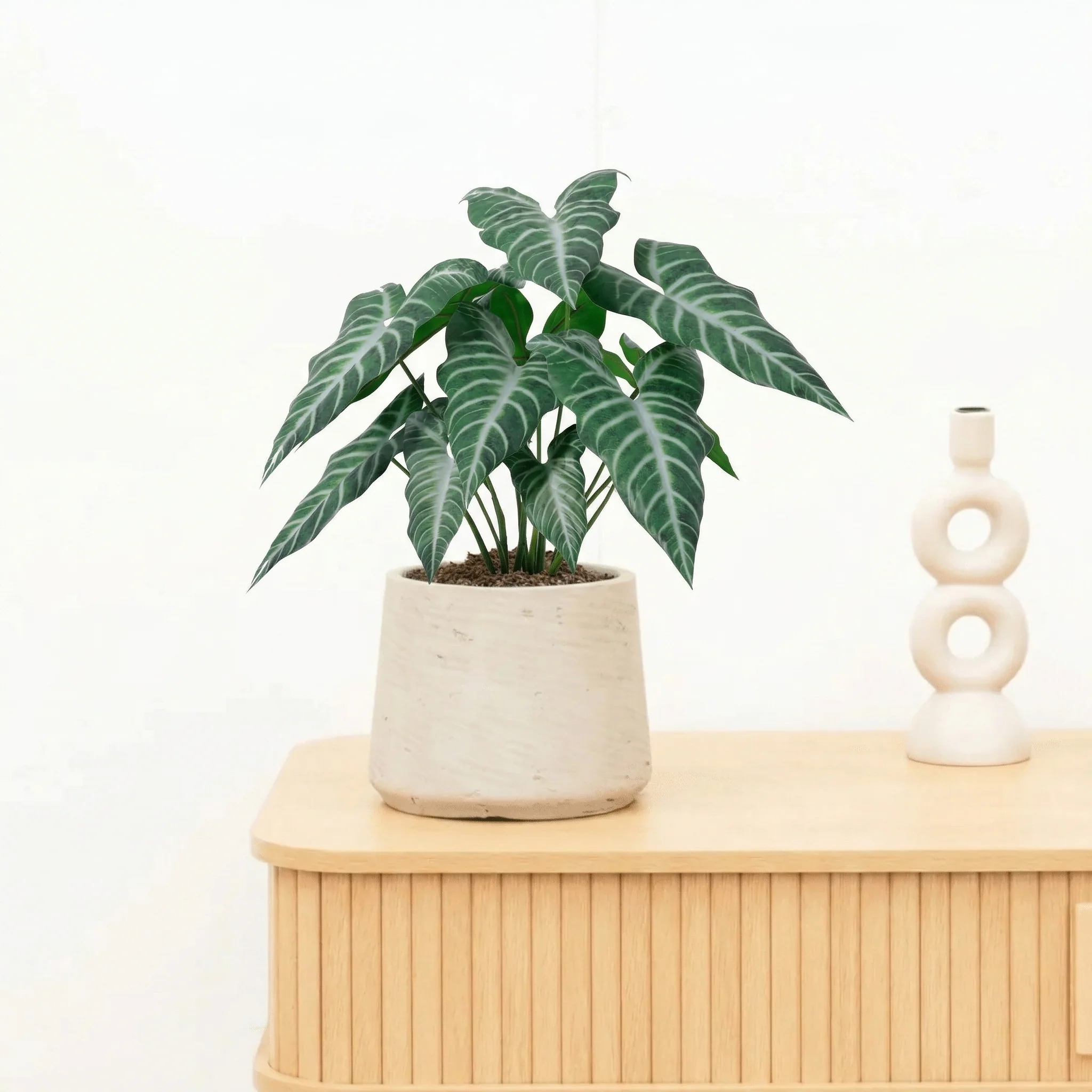 Miniatuur 1