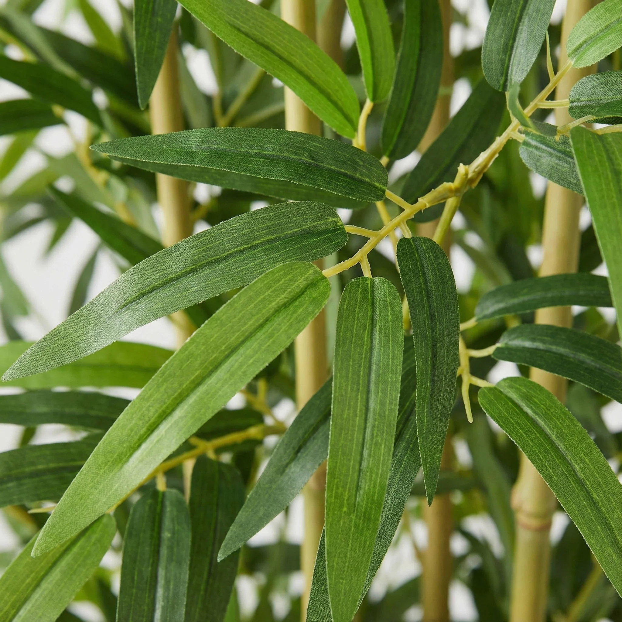 Miniatuur 2