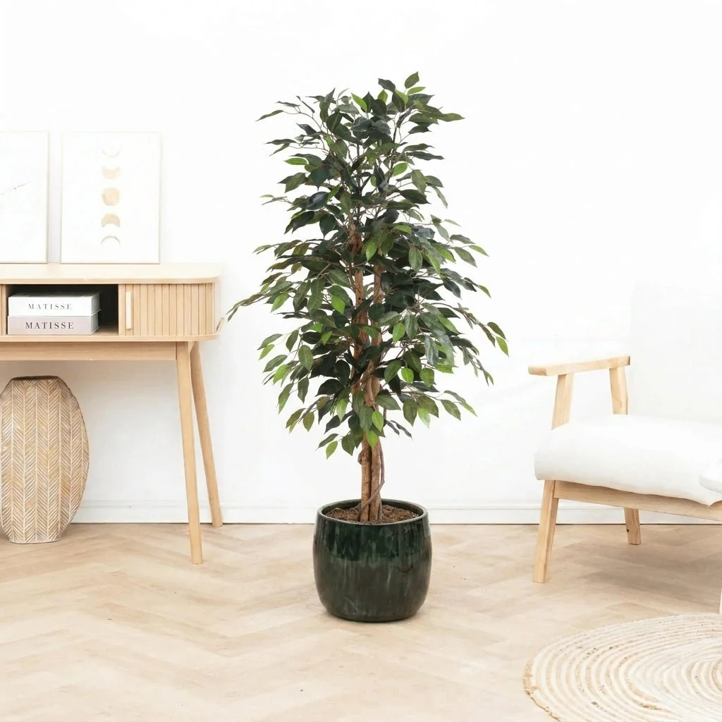 Miniatuur 1