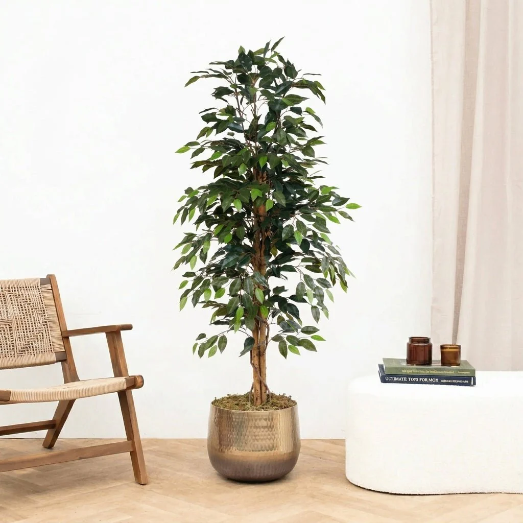 Miniatuur 1