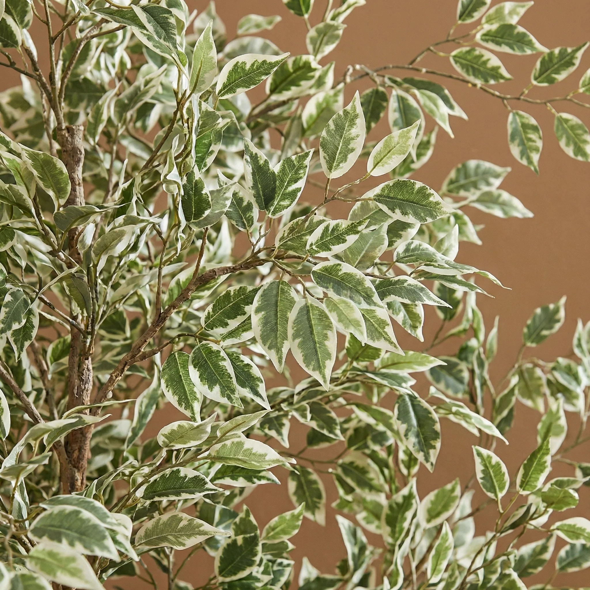 Miniatuur 2