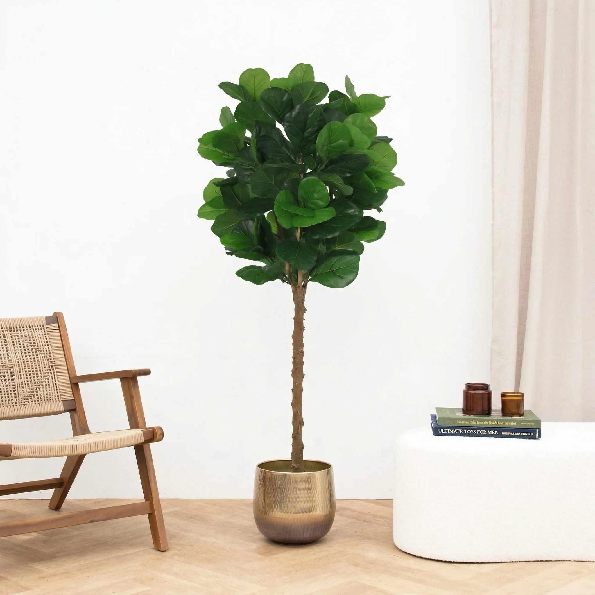 Miniatuur 1