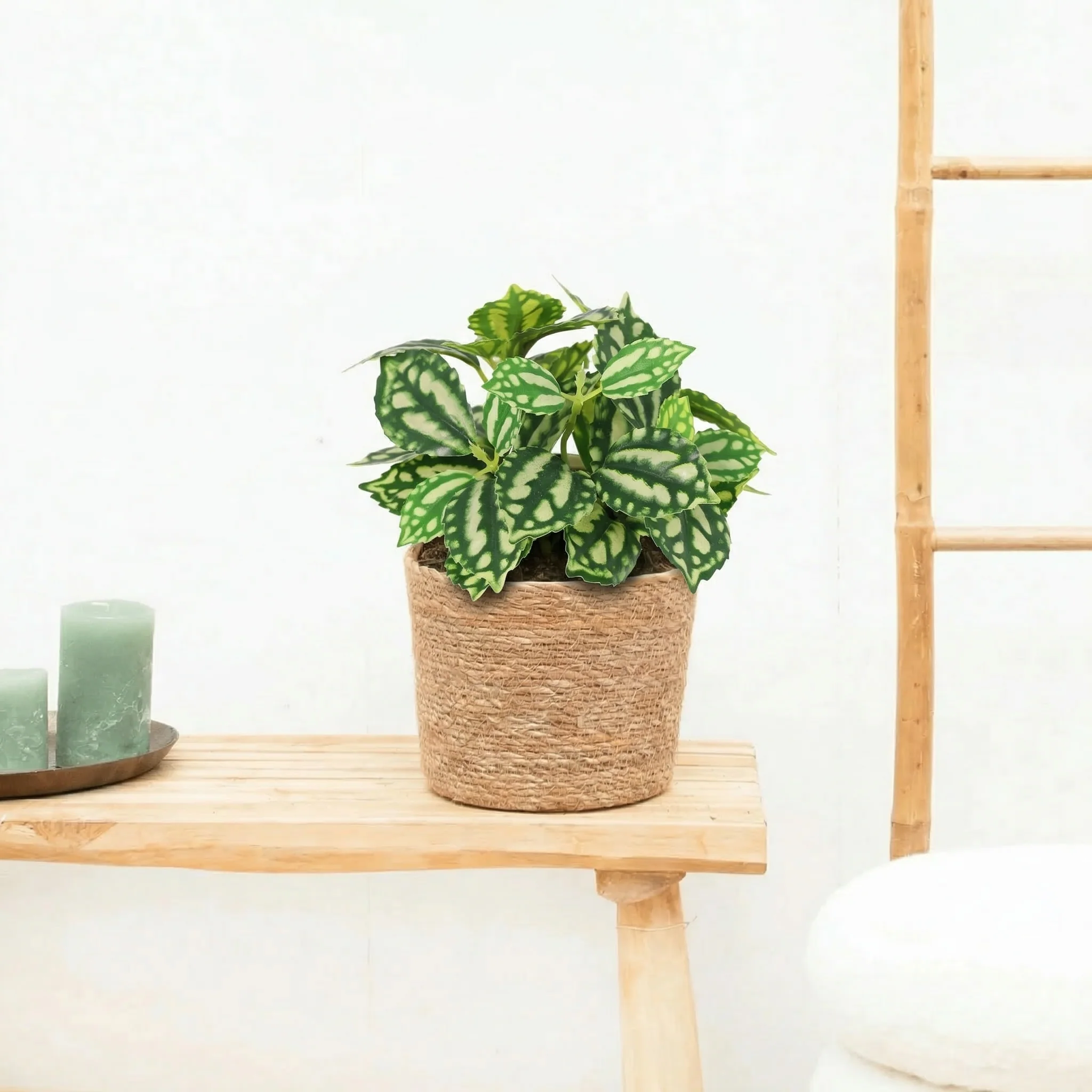 Miniatuur 1