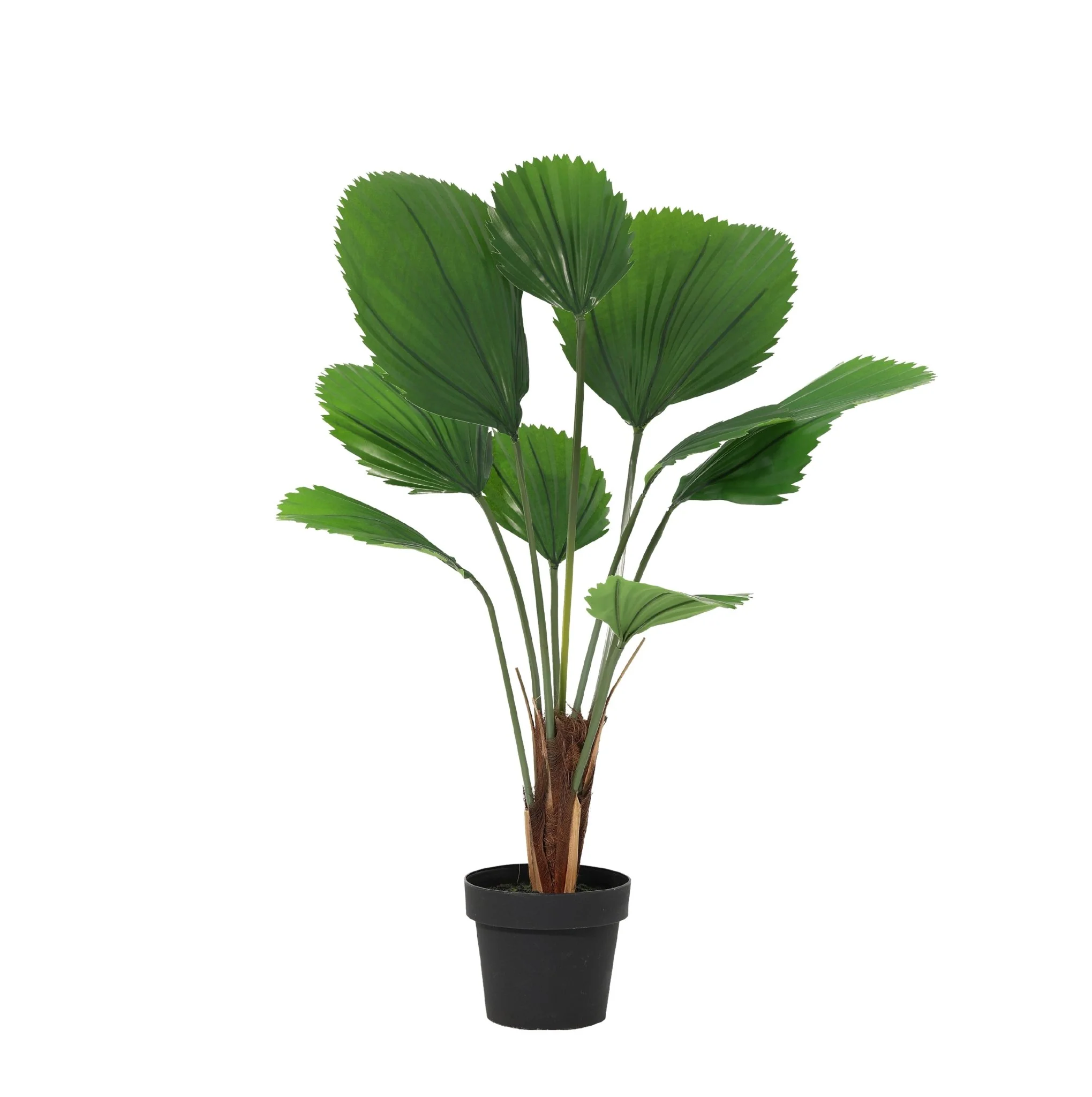 Miniatuur 2