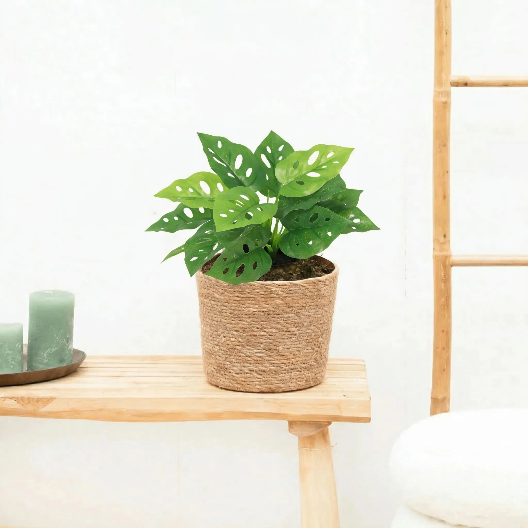 Miniatuur 1