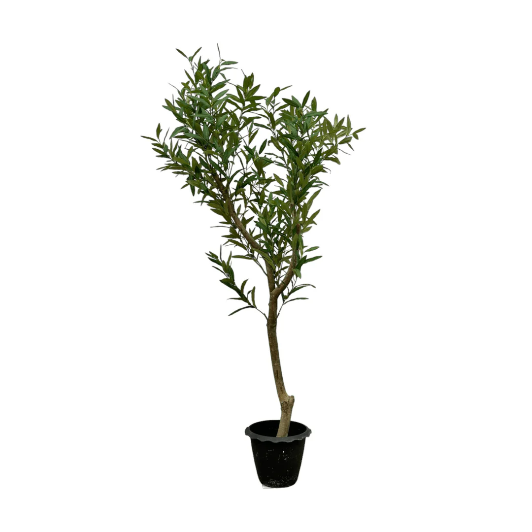 Miniatuur 1