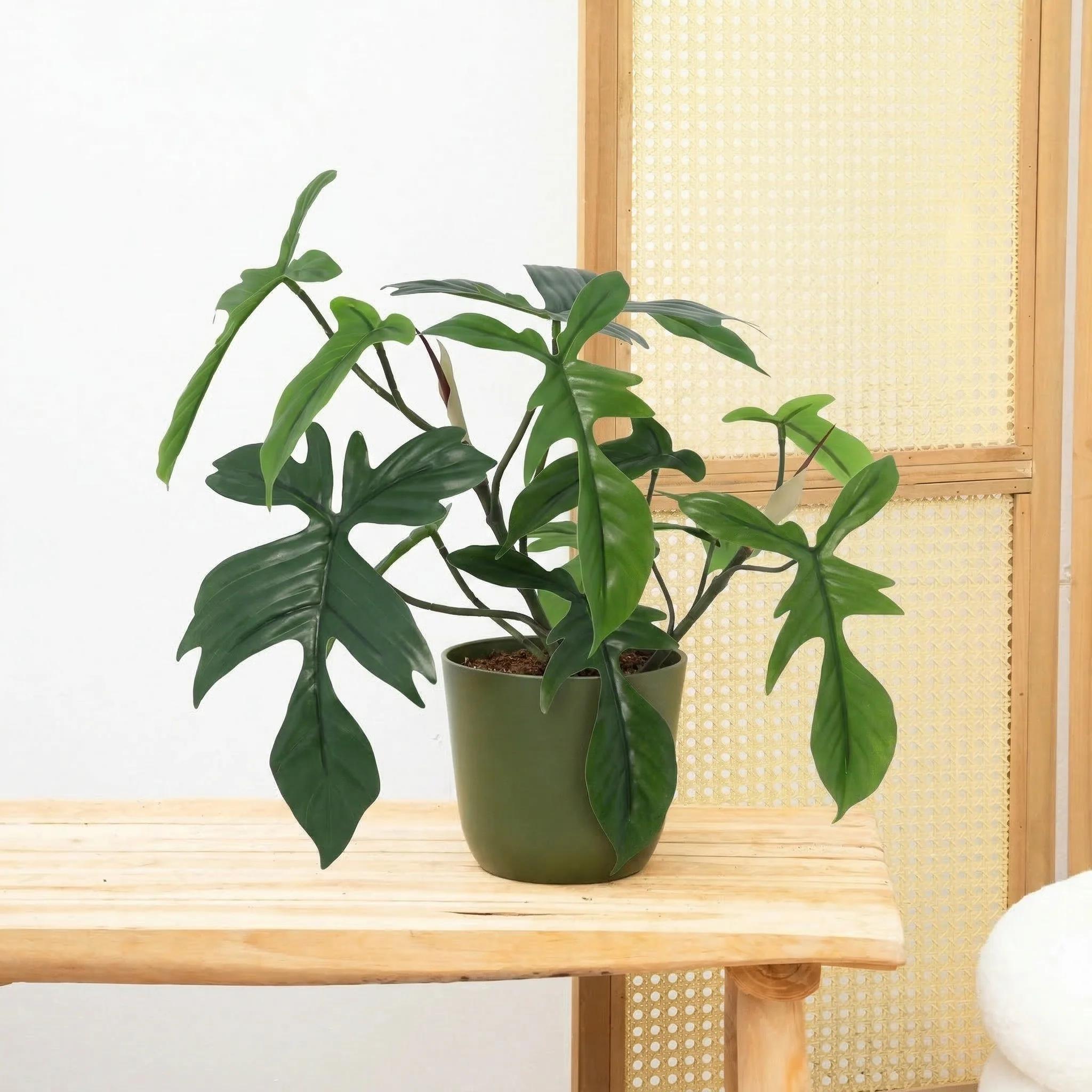 Miniatuur 1