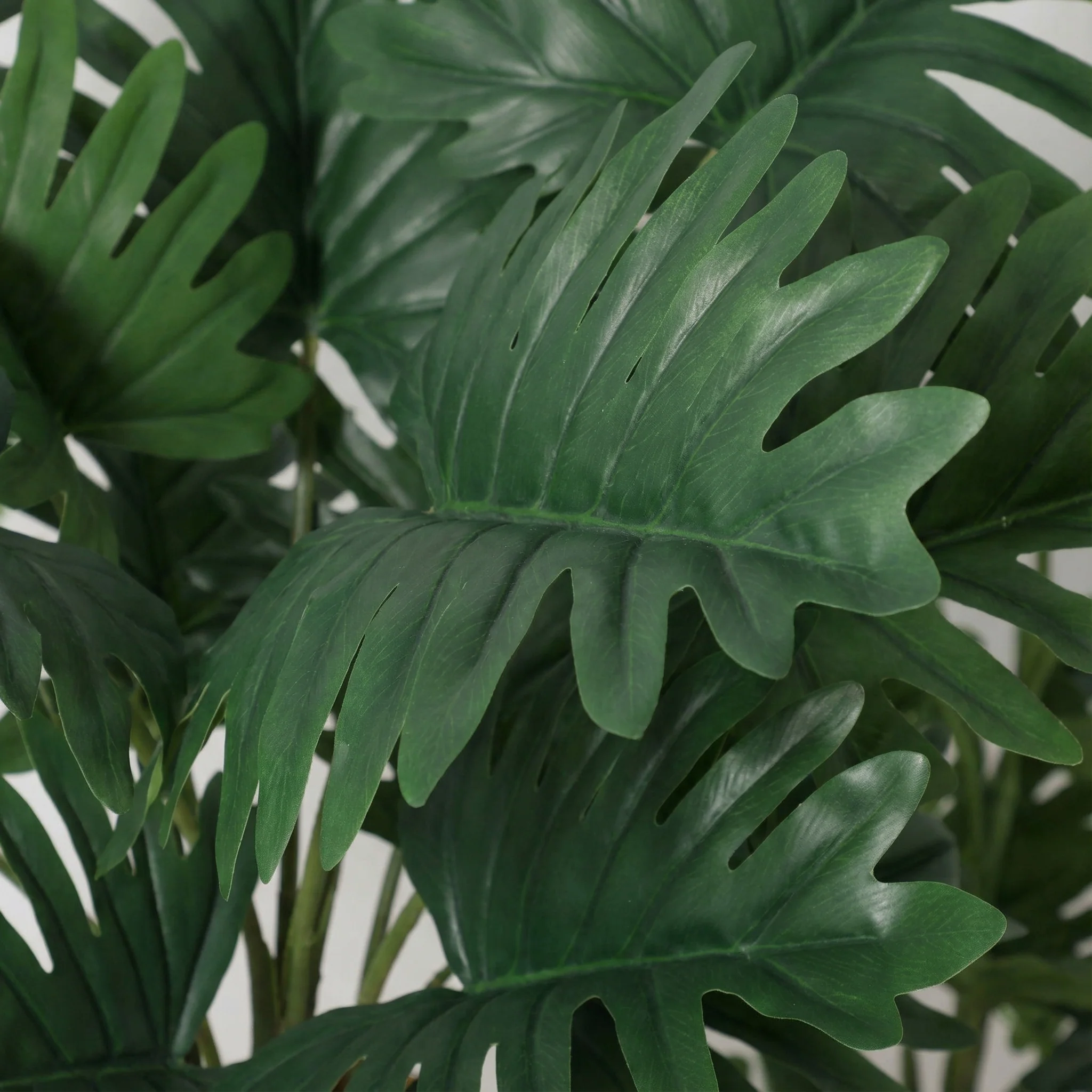 Miniatuur 2