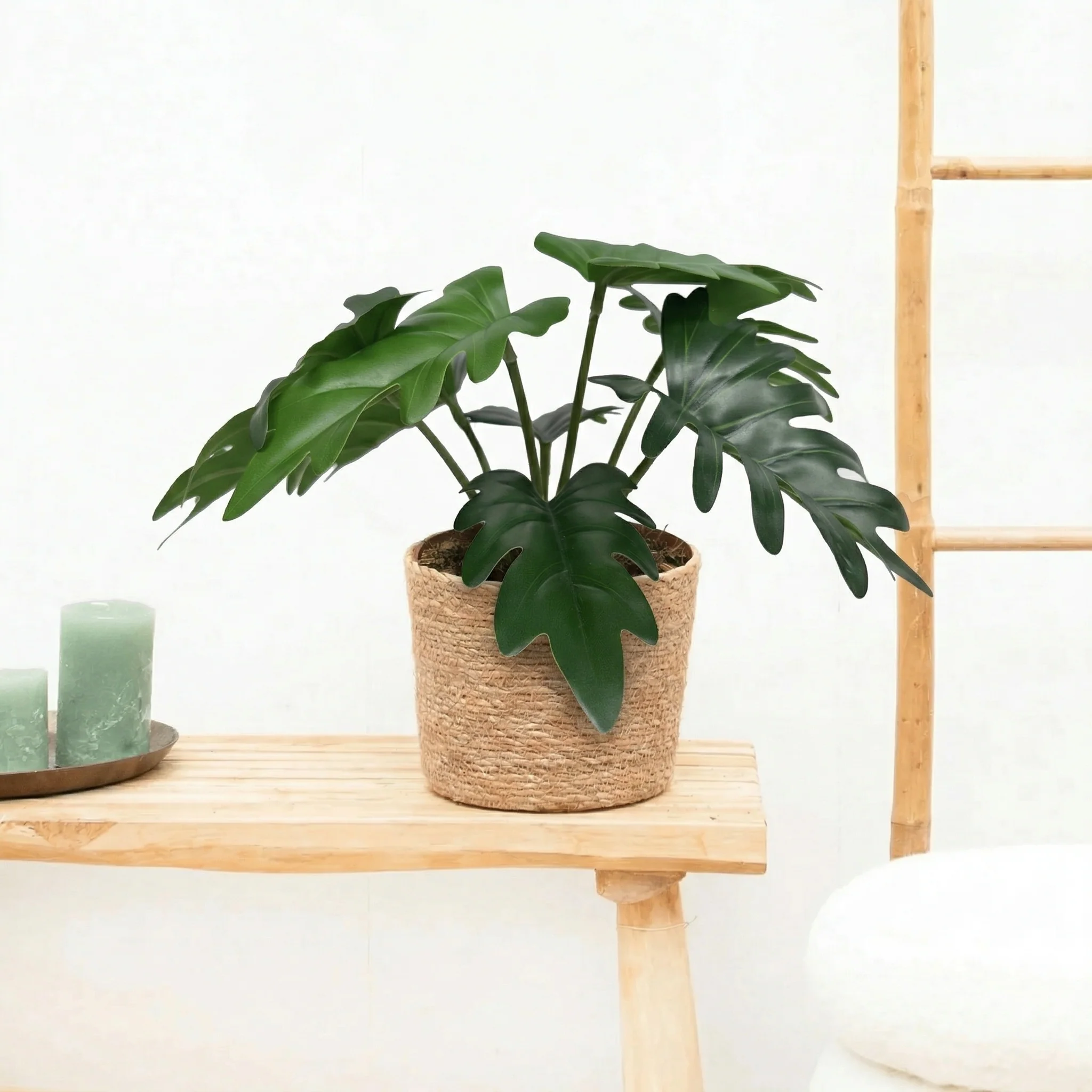 Miniatuur 1