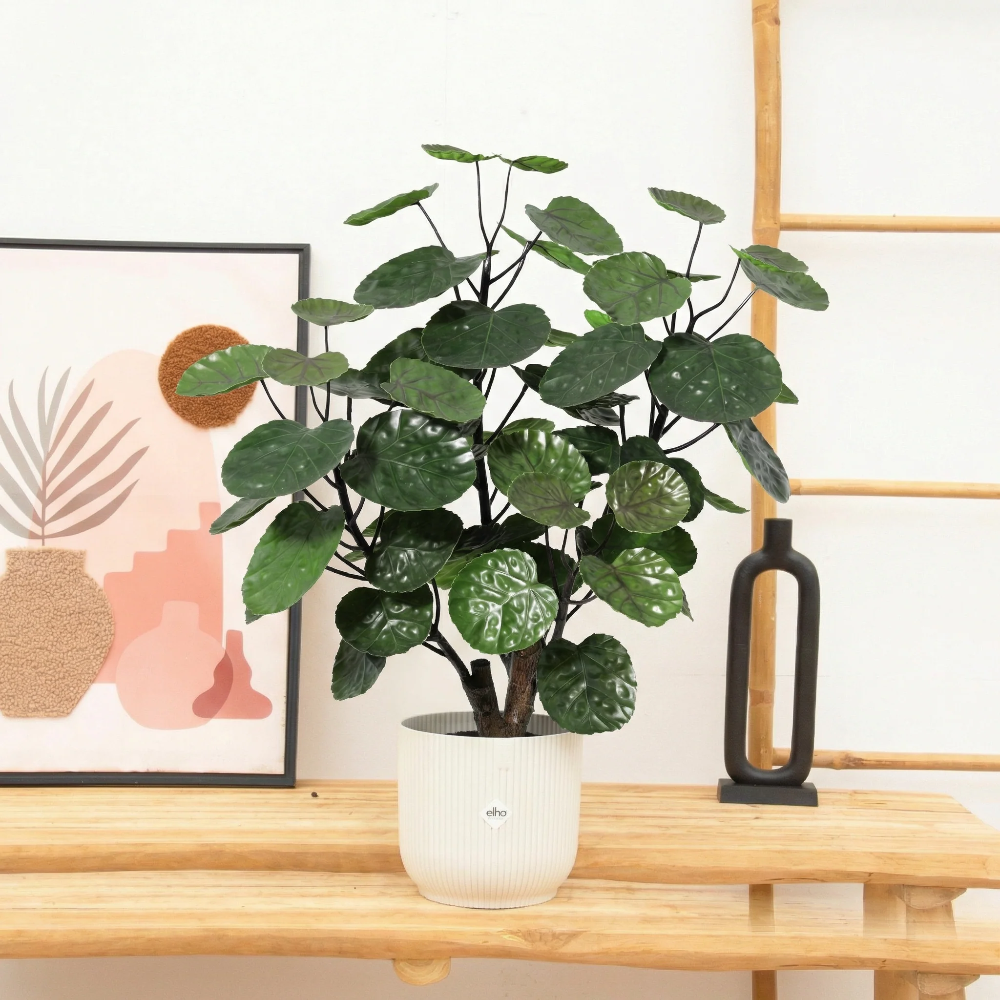 Miniatuur 1