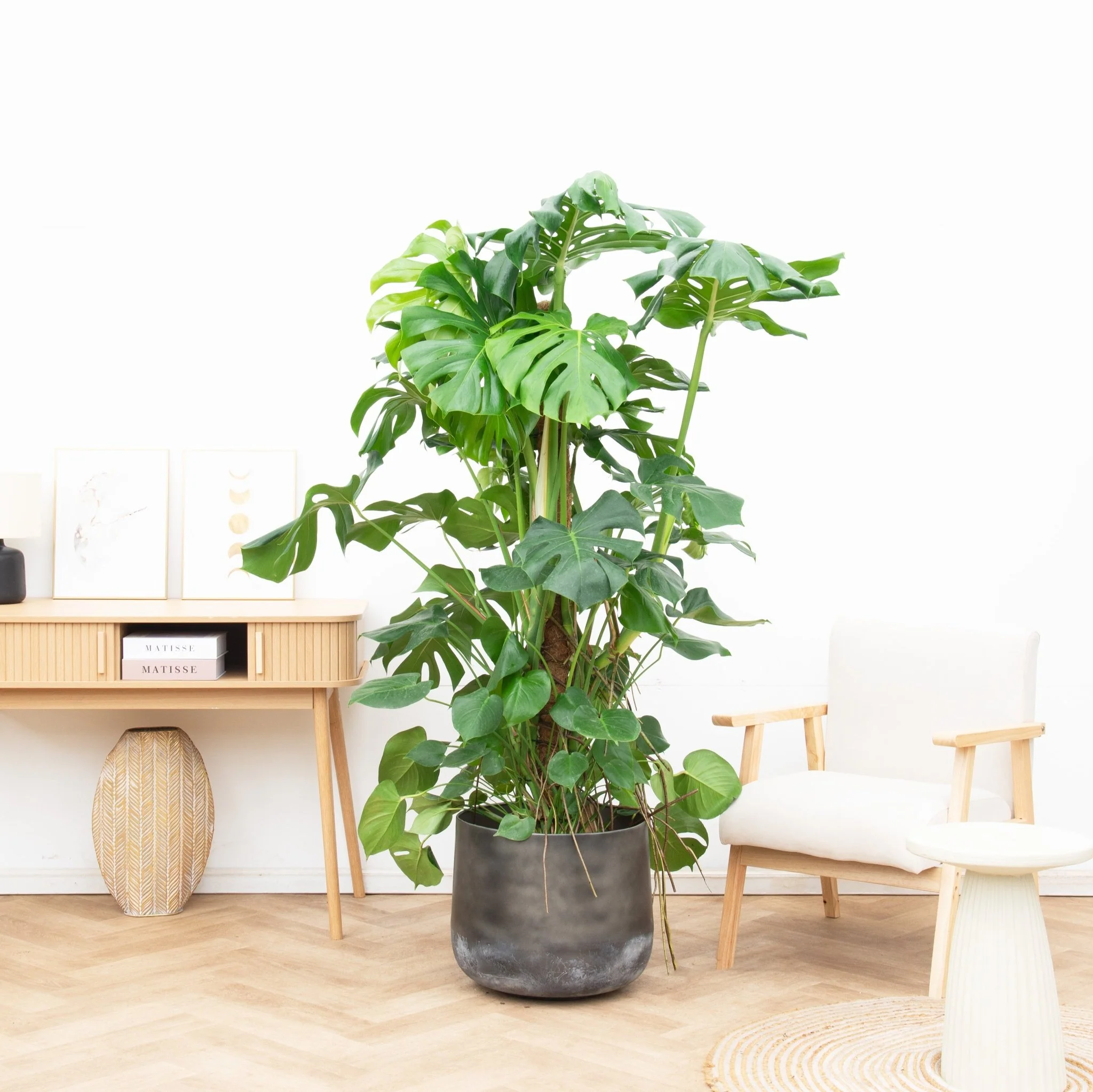 Miniatuur 1