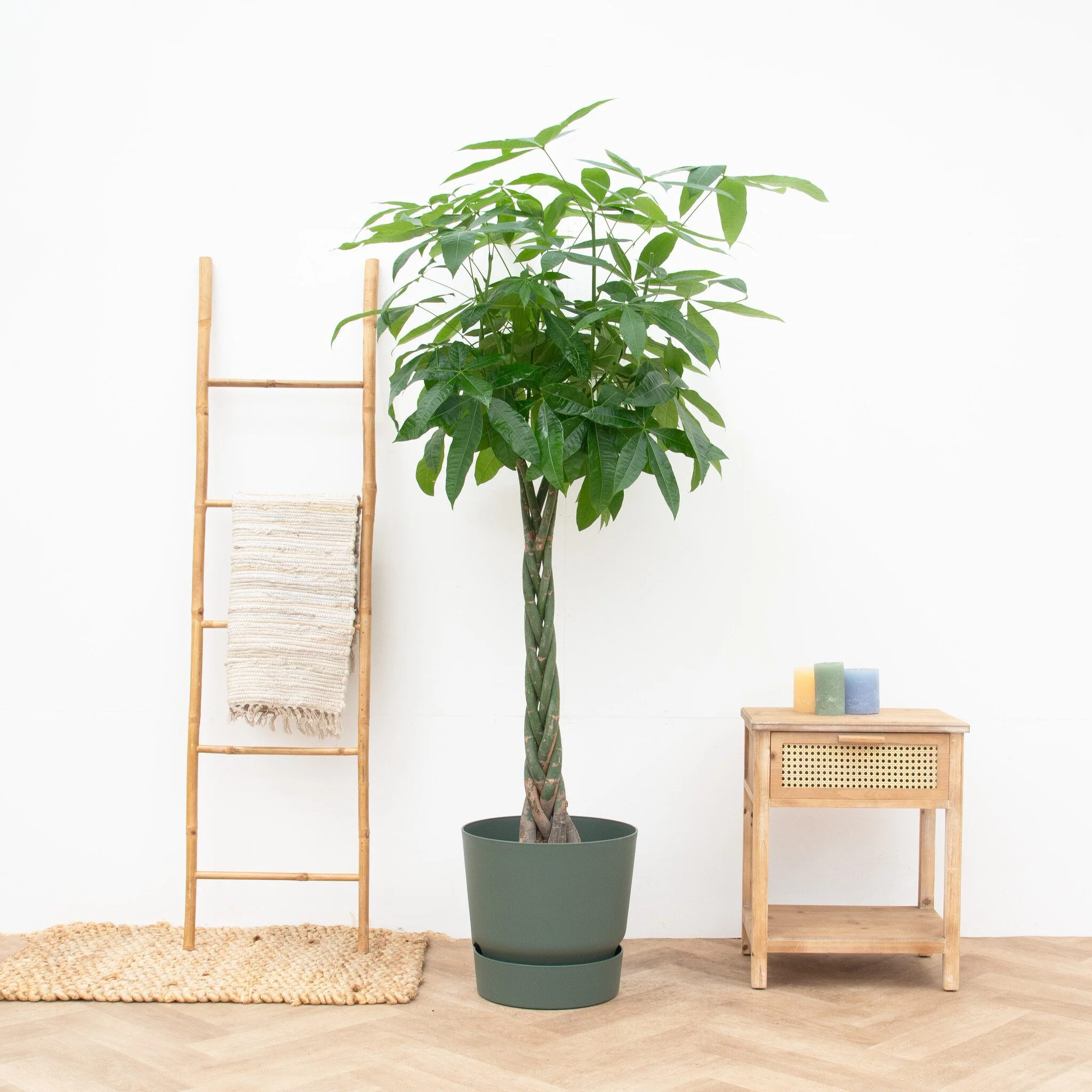 Miniatuur 1