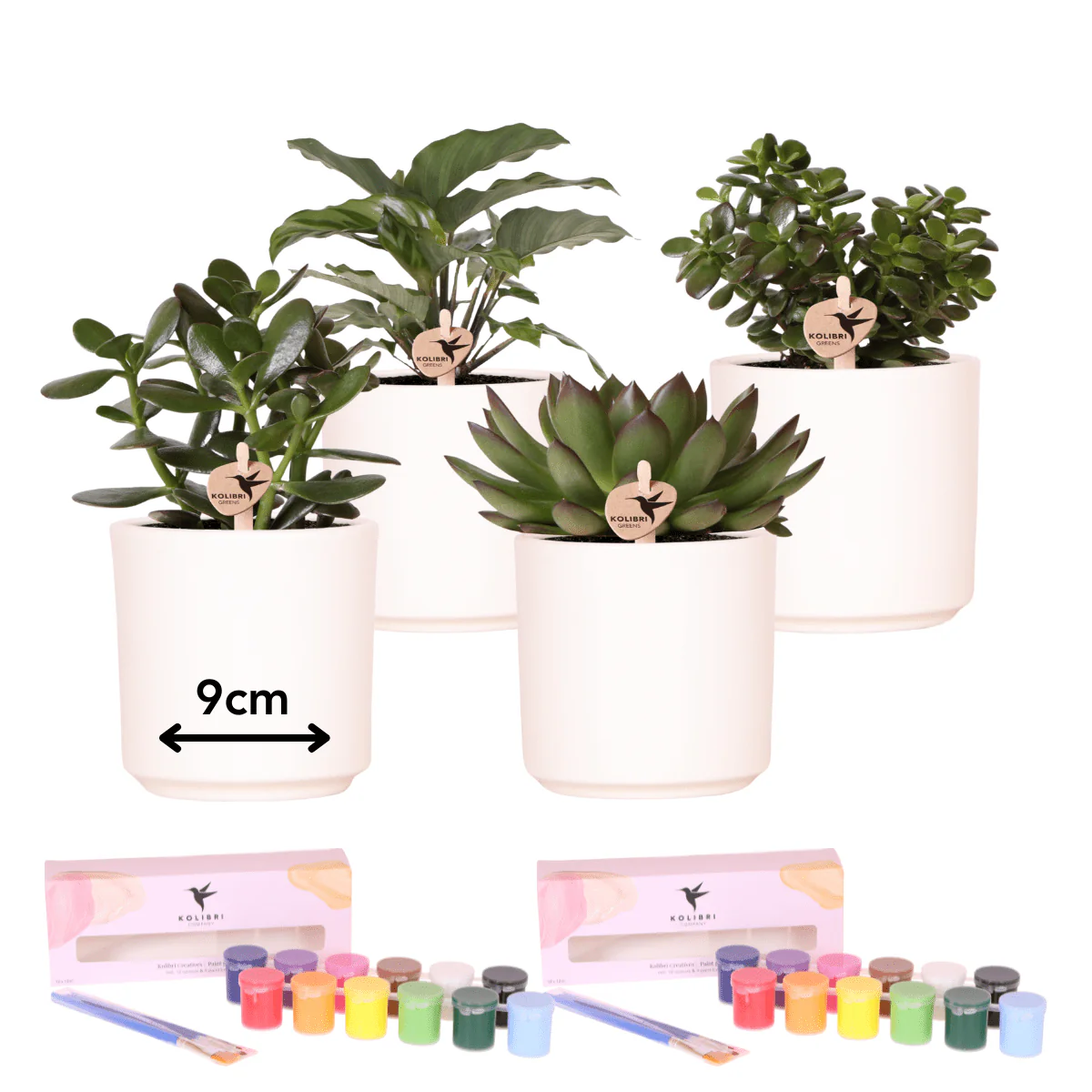 Miniatuur 1