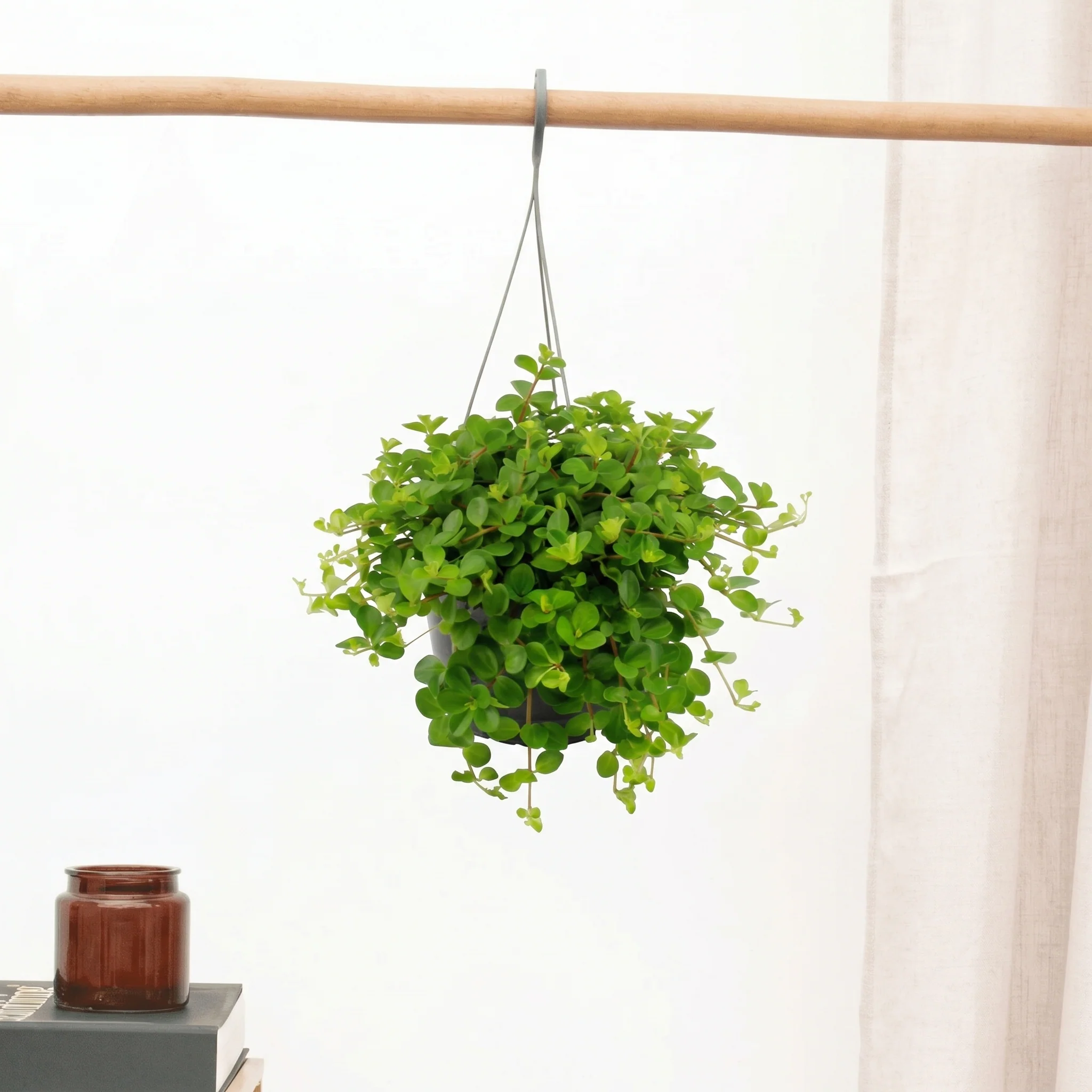 Miniatuur 1