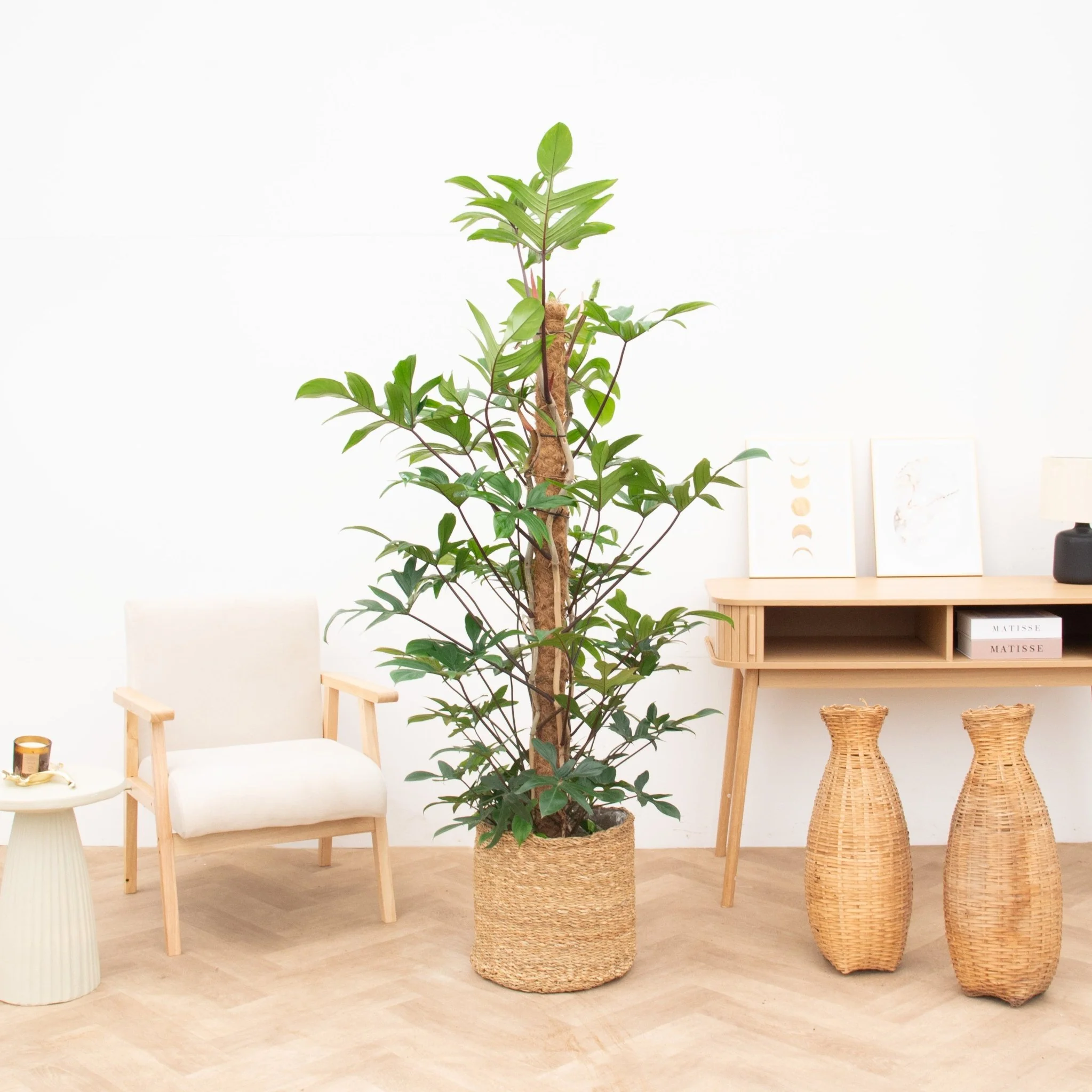 Miniatuur 1