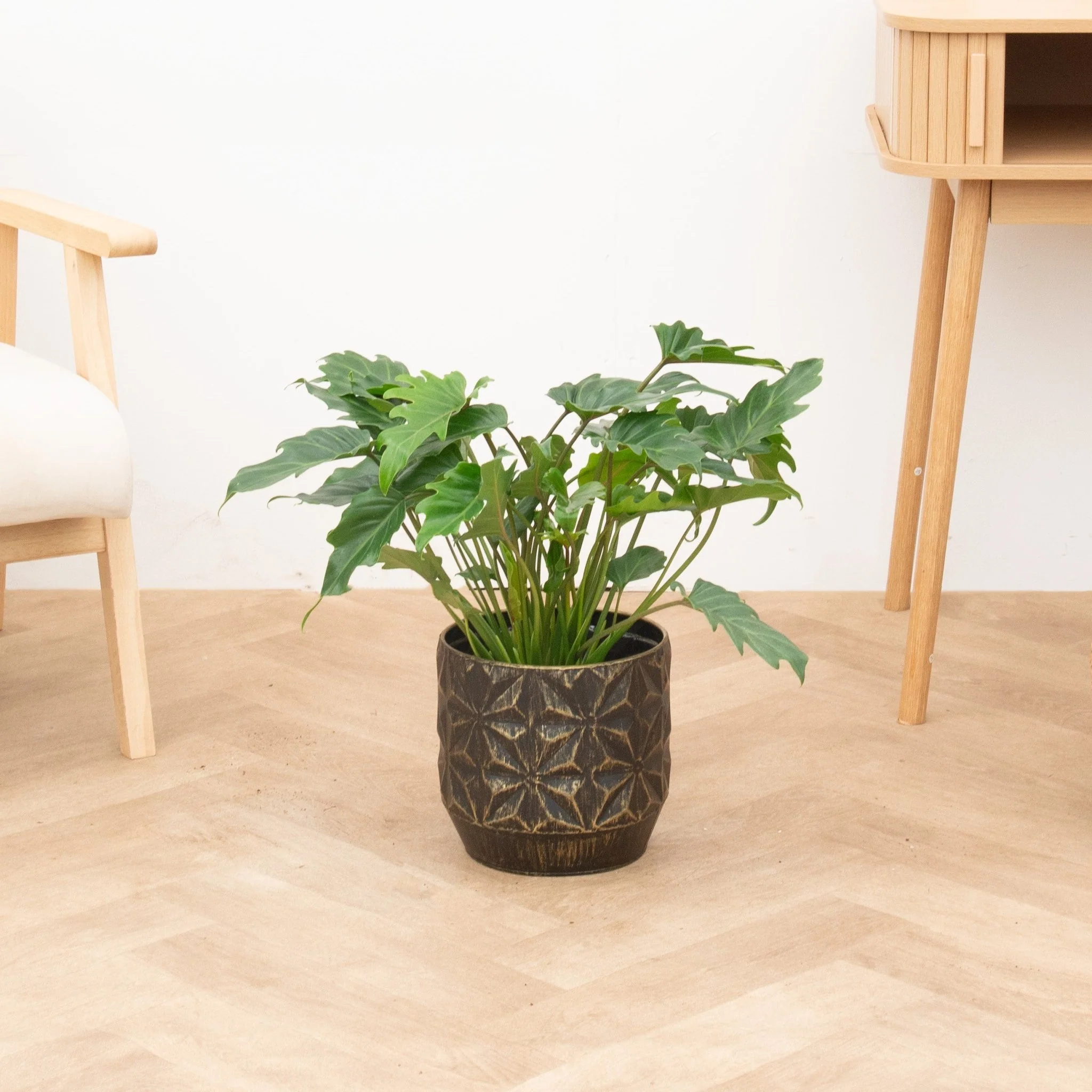 Miniatuur 2