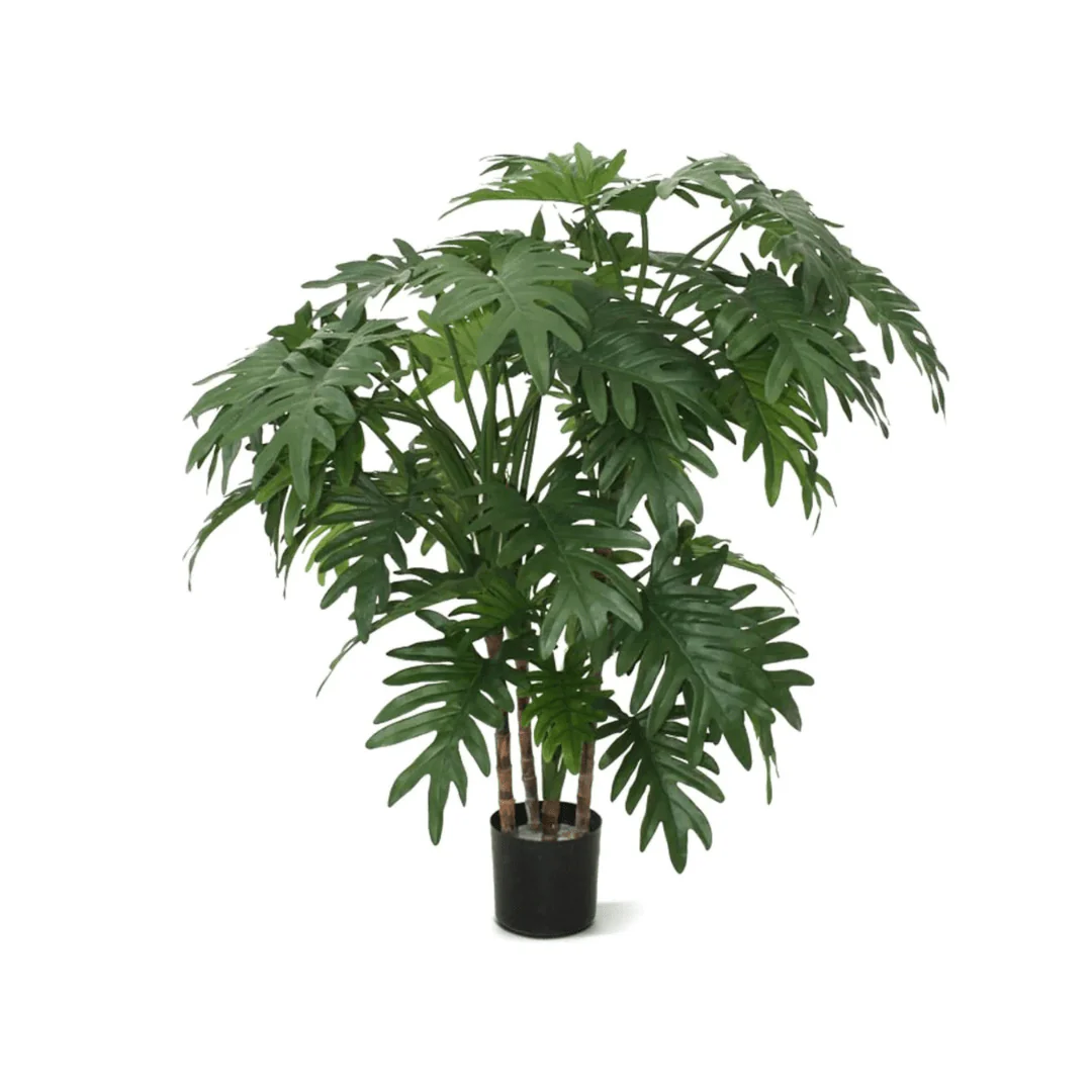 Miniatuur 1