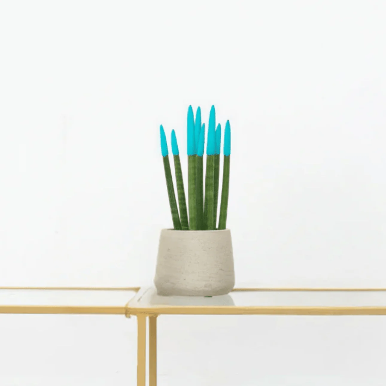 Miniatuur 1