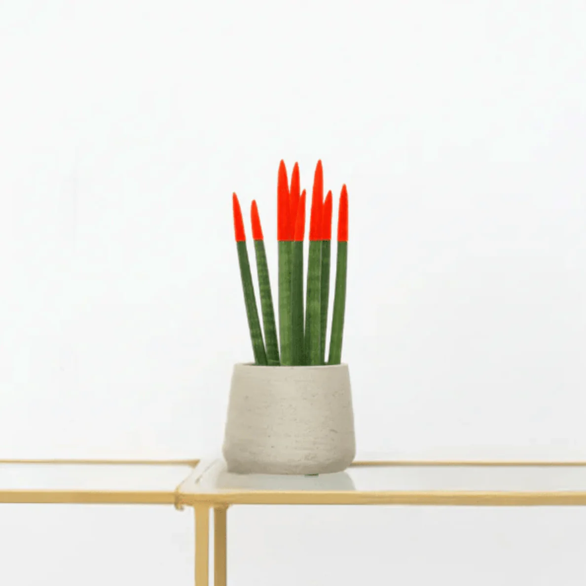 Miniatuur 1