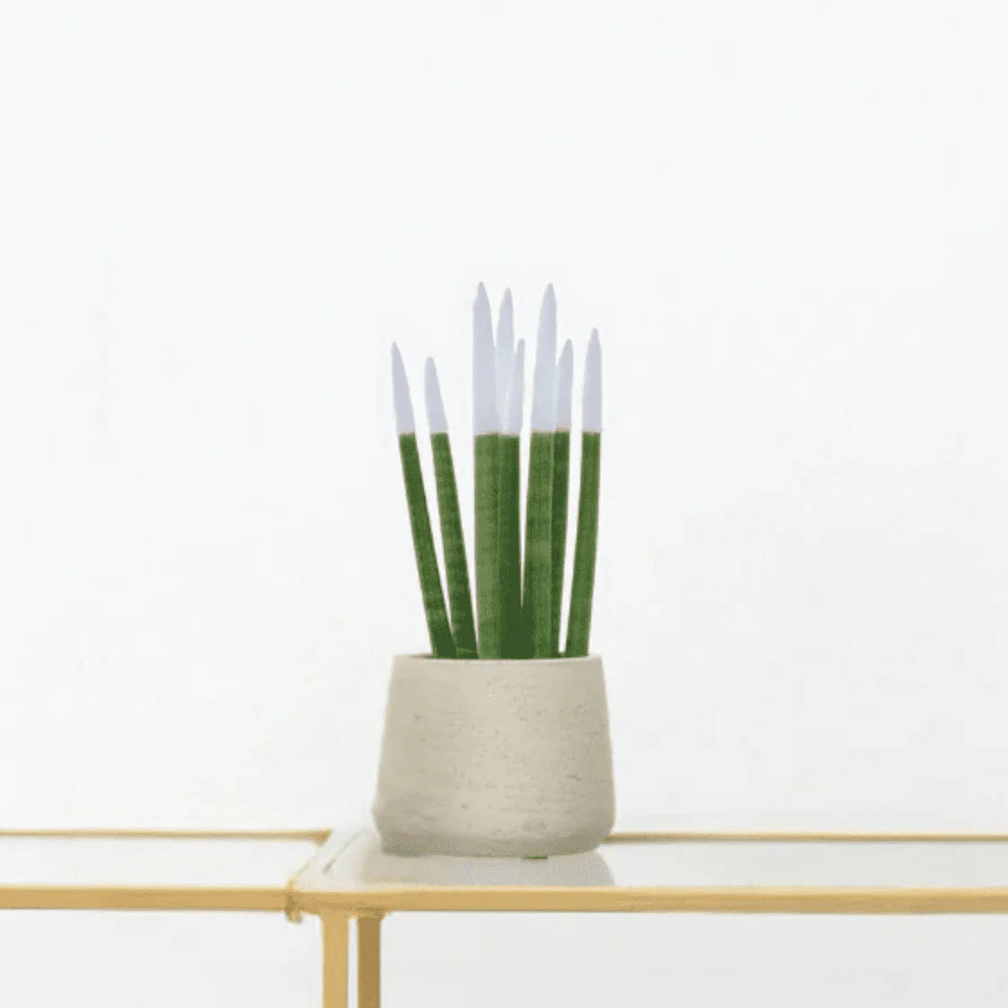 Miniatuur 1
