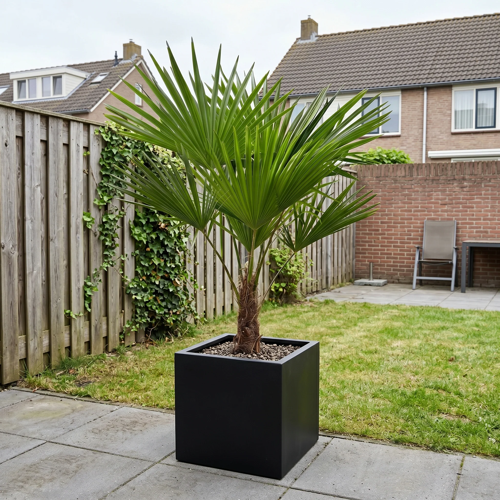 Miniatuur 2