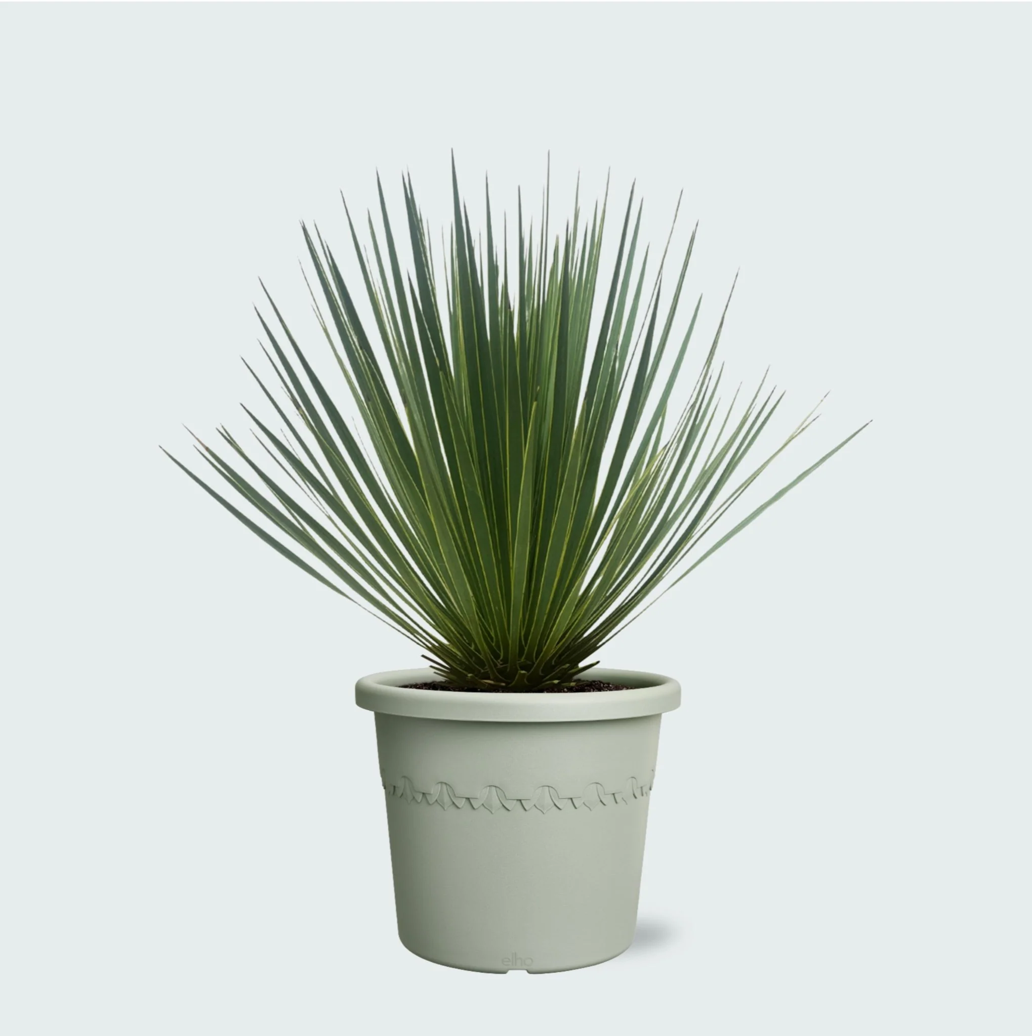 Miniatuur 1
