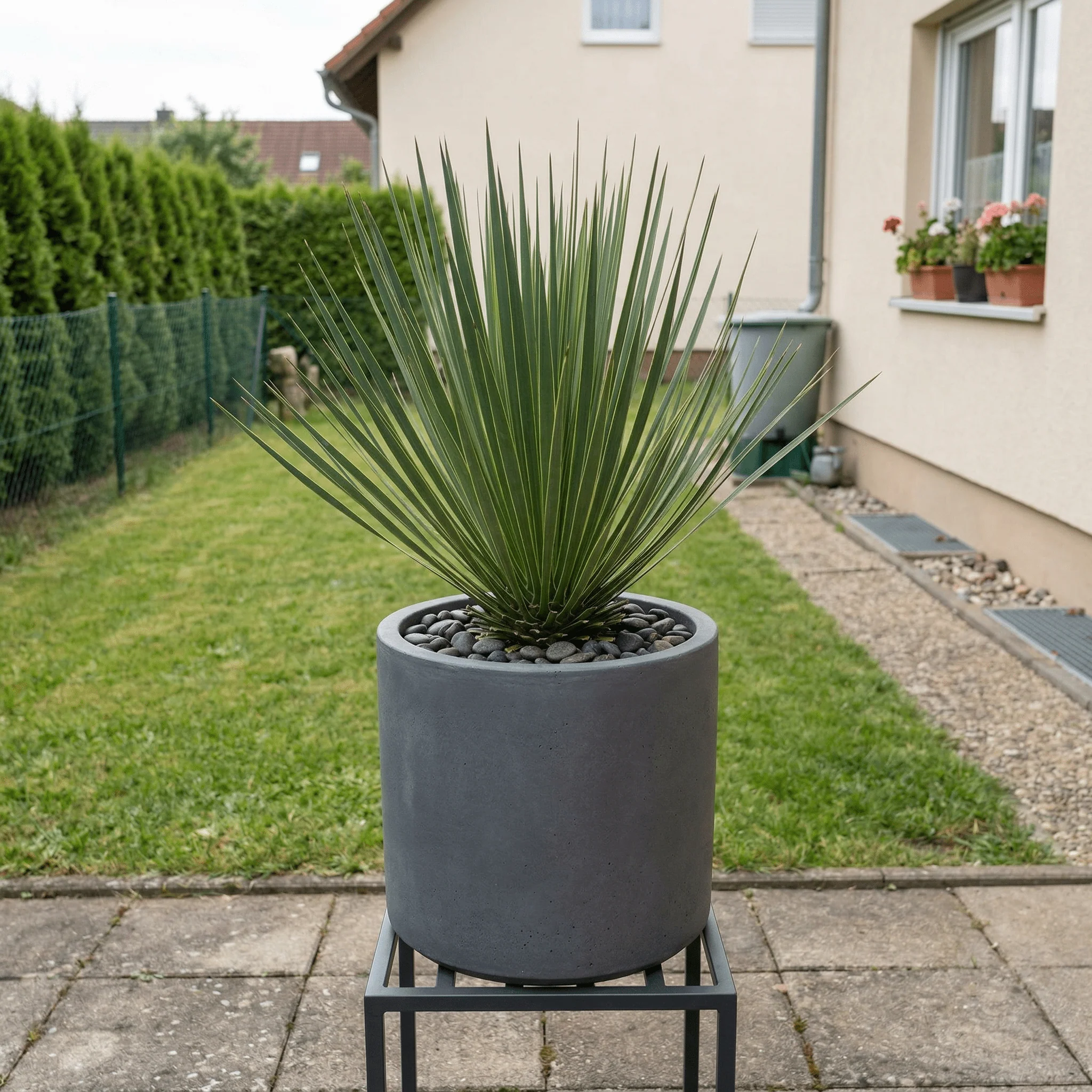 Miniatuur 2